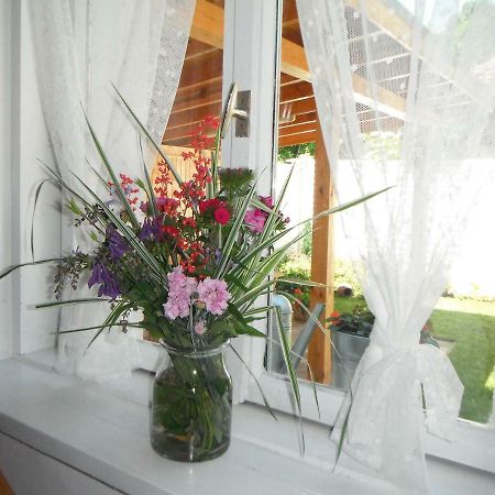 Villa Ani Gorna Kovacsica Kültér fotó