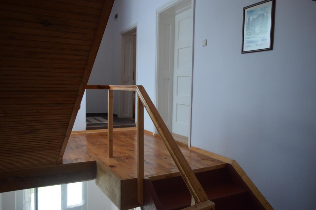Villa Ani Gorna Kovacsica Kültér fotó