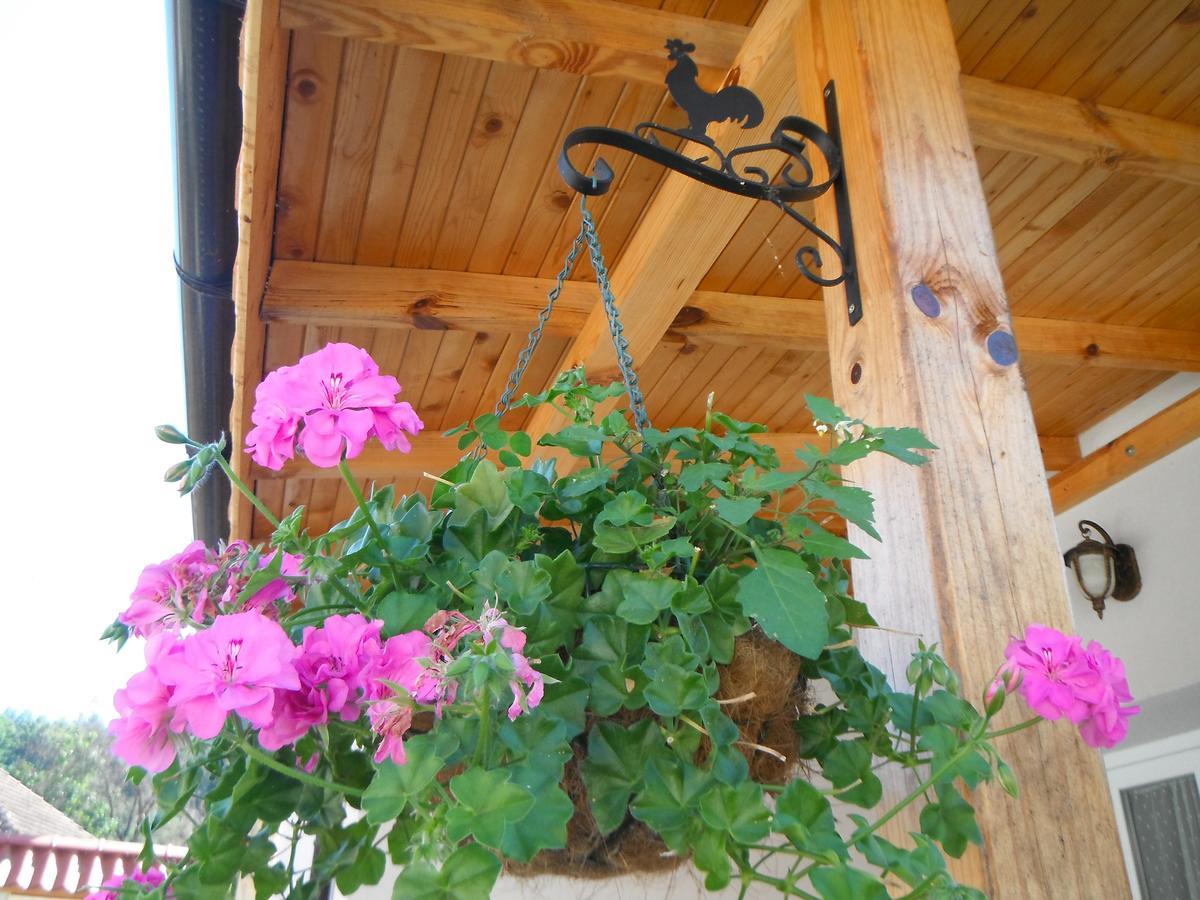 Villa Ani Gorna Kovacsica Kültér fotó
